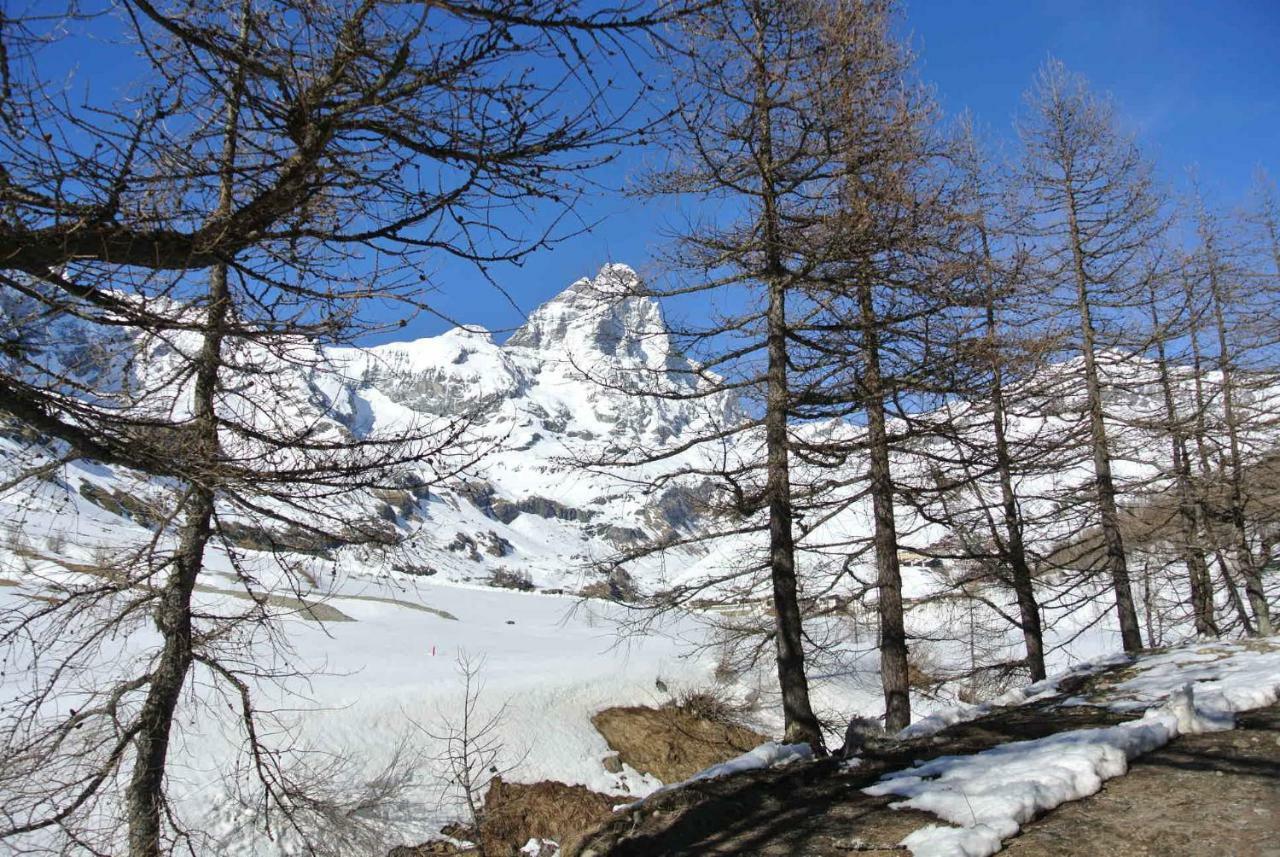 President Palace - Breuil Cervinia -Appartamento 6 - Cir 0634 Eksteriør billede