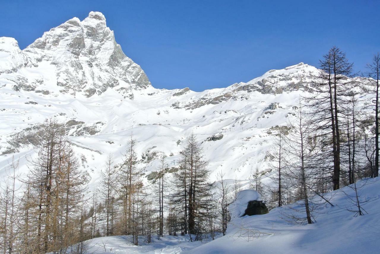 President Palace - Breuil Cervinia -Appartamento 6 - Cir 0634 Eksteriør billede